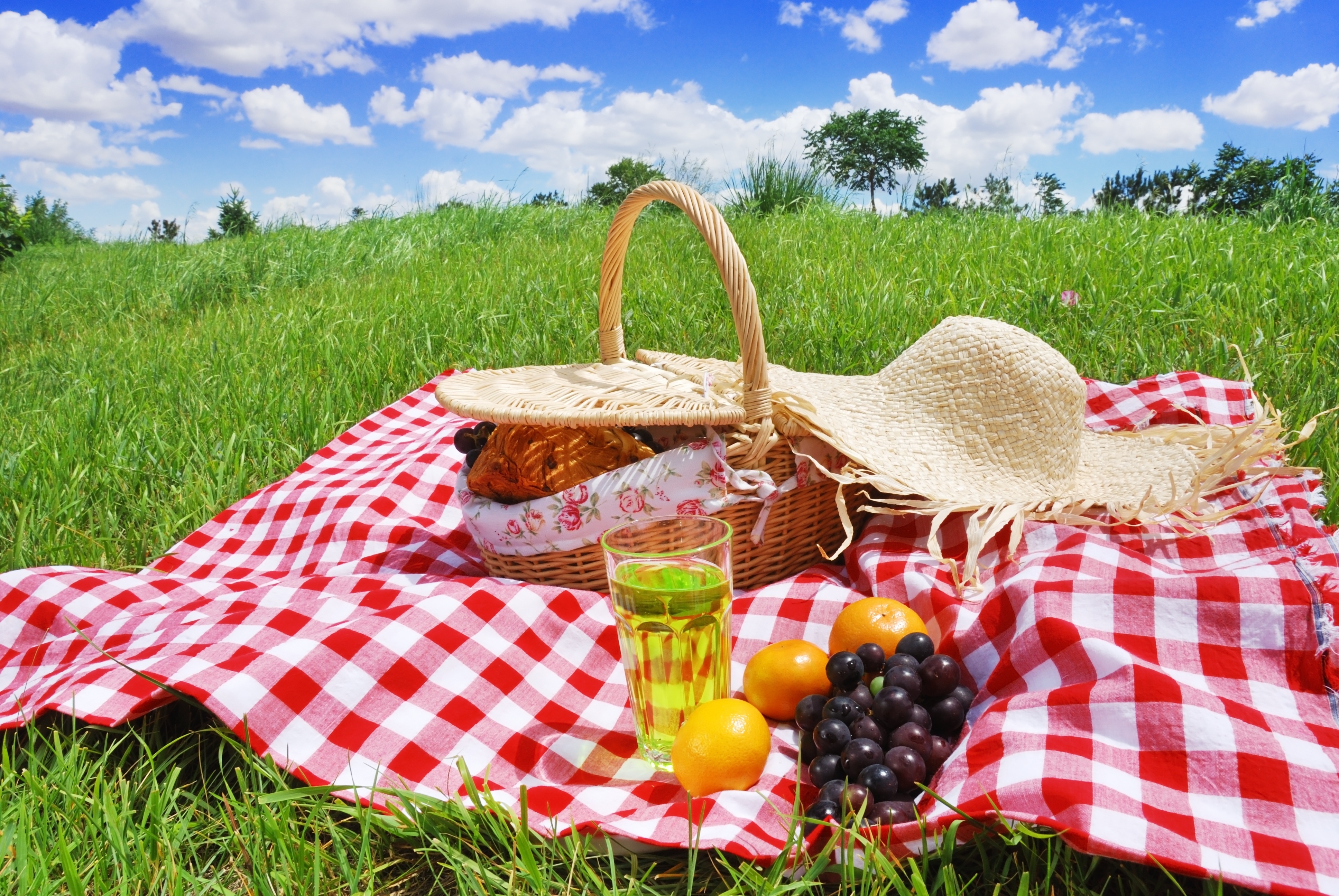 Пикник. Пикник на природе. Летний пикник на природе. Пикник на траве. Лето пикник.